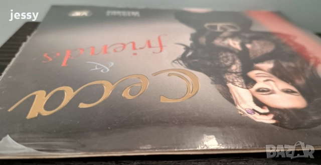 Ceca - Колекция от дискове, снимка 11 - CD дискове - 49829815