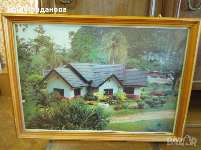 Картина 51/72 см