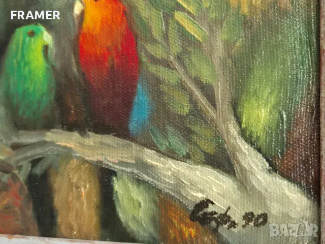 Сули Сеферов Два папагала 1990г. ранна картина с маслени бои, снимка 4 - Картини - 48443710