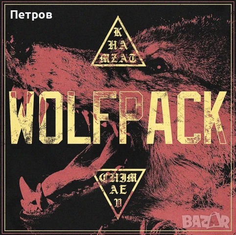 Хамзат Чимаев - BORZ -Оригинален тишърт, снимка 2 - Тениски - 51385517