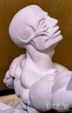 Екорше / Анатомична фигура / Гипсов модел, снимка 13 - Други - 51458325