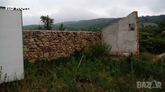 Продава парцел в село Пъстрово, снимка 2 - Парцели - 52414578