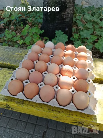 Продавам домашни яйца 