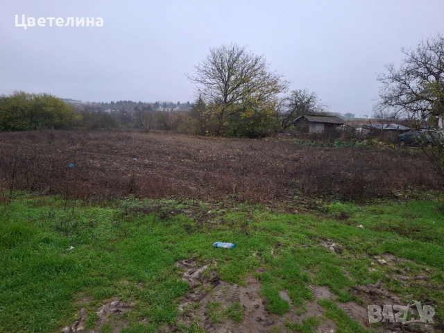 Дворно място Житница Добрич СПЕШНО, снимка 6 - Парцели - 52746056