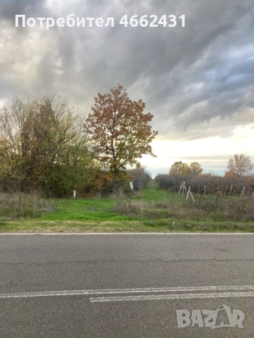  Парцел 2320 м2 - отличен за лозе/градина/пчелин, до път Дебър–Брягово