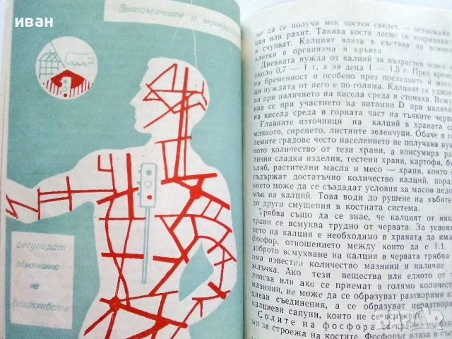 Как да се храним правилно - Ташо Ташев - 1961г., снимка 3 - Други - 50925447
