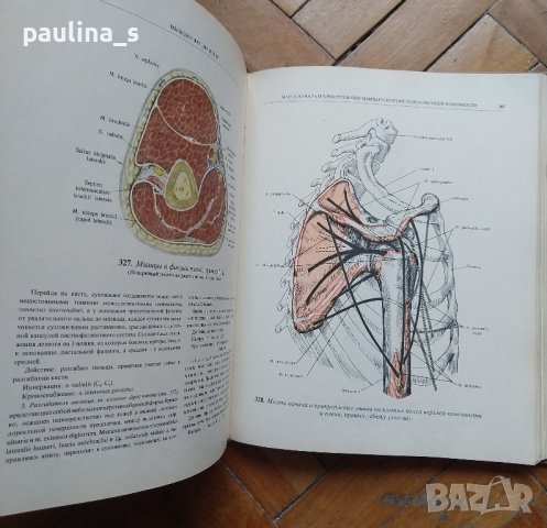Атлас по анатомия на опорно-двигателния апарат на Синельников, снимка 5 - Специализирана литература - 42266262