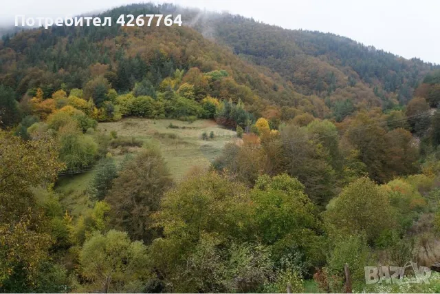 Селска къща в с.Петково , снимка 4 - Къщи - 47770225