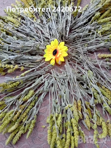 био мурсалски чай на едро и дребно, снимка 5 - Други - 53324891