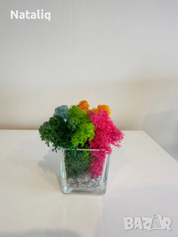 Декорации от скандинавски мъх, снимка 10 - Декорация за дома - 53307440