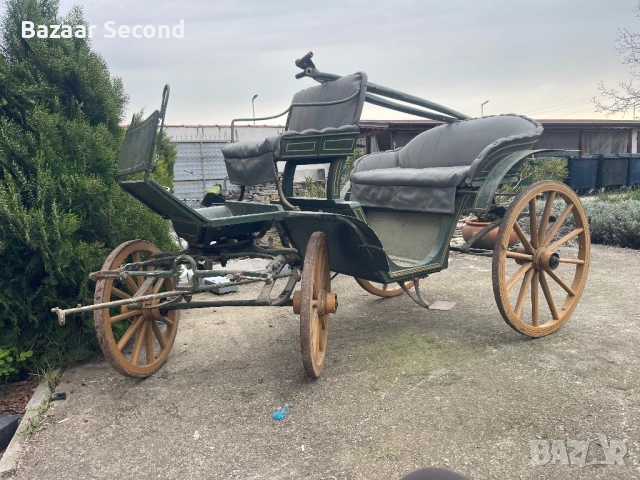 Файтон /Каляска/Карета/Каруца, снимка 13 - Други животни - 54170102