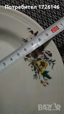 Порцеланова чиния Дянко Стефанов с червен кант , снимка 5 - Чинии - 54059180