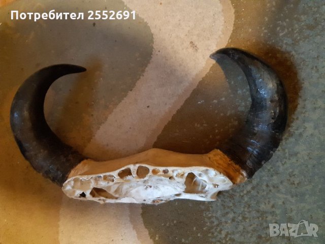 Декорация , снимка 3 - Декорация за дома - 34340807