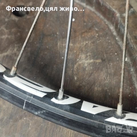 Спица за велосипед колело 26 цола 259 мм dt Swiss , снимка 7 - Части за велосипеди - 38655853