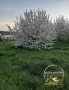 овощна градина село Узунджово, снимка 1