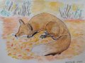 Рисунка Спяща лисица 17,5/24,5 см, снимка 1 - Картини - 42846023