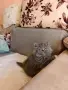 Персийски котенца, снимка 3