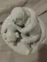 порцеланова фигурка , снимка 2