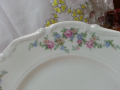 Стар немски порцелан чиния , снимка 2