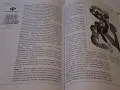 Митологичен речник Герхард Белингер, снимка 5
