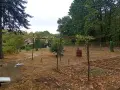 Вила в местността мачкин дол, снимка 12