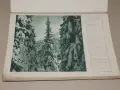 Стар български цветен календар от 1939, снимка 3