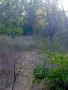 Продавам дворно място, снимка 6