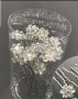 Фуркети цвете от преливащи се кристали