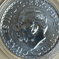 Сребърни монети  9999 1унция 31.1гр., снимка 3 - Нумизматика и бонистика - 44765037