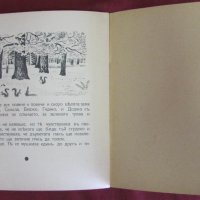 Стара Детска Книжка- Малката Катеричка, снимка 7 - Детски книжки - 42108266