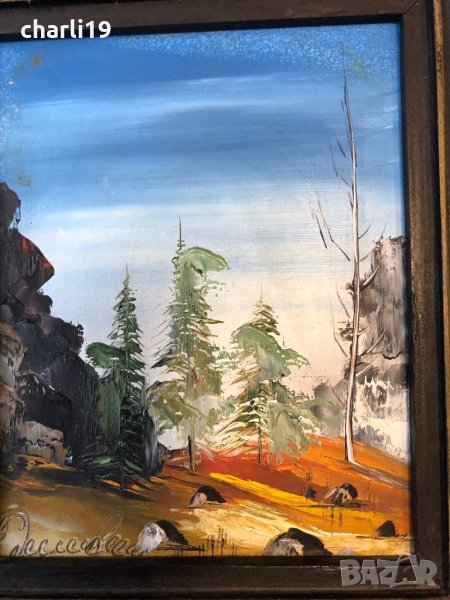 Масло 20/22см , снимка 1