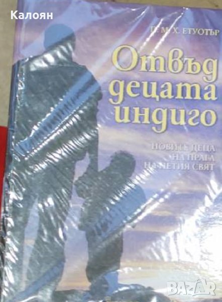 П. М. Х. Етуотър - Отвъд децата индиго (2007), снимка 1