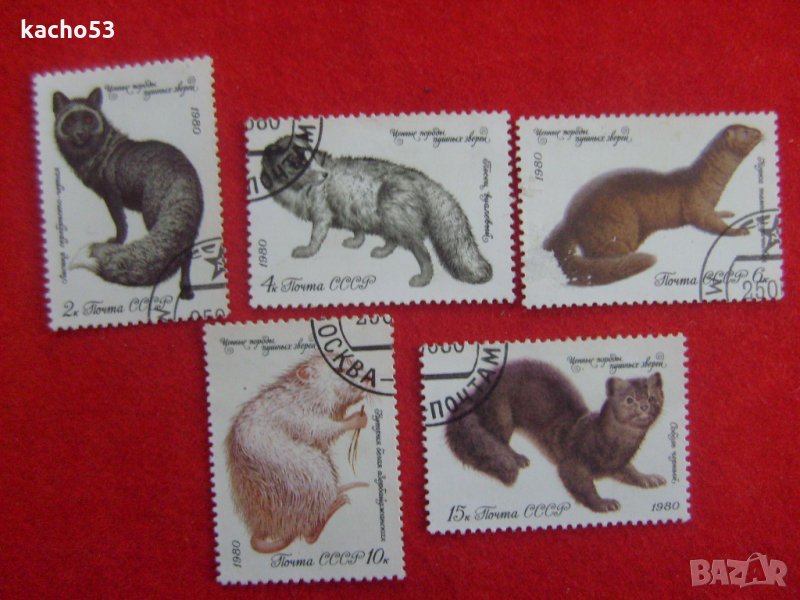 Бозайници с ценна козина 1980 г.-СССР, снимка 1