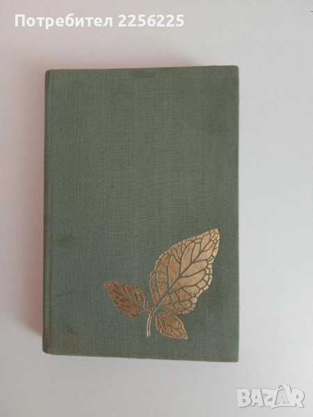 Културните растения, снимка 1