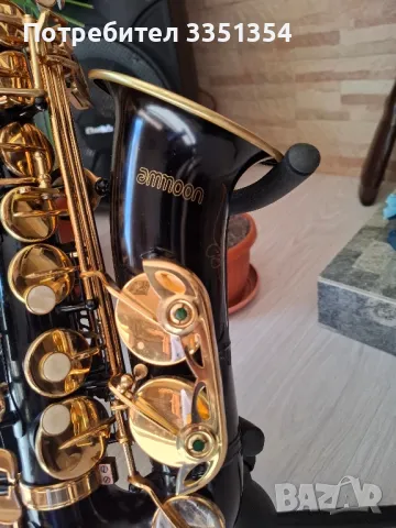 Алт саксофон , снимка 2 - Духови инструменти - 48279181