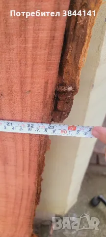 Секвоя янове 120/ 60-40, снимка 6 - Дърводелски услуги - 49915678