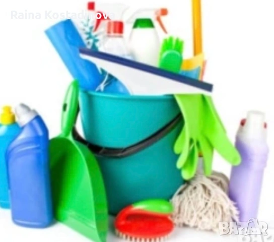 Хигиенистка