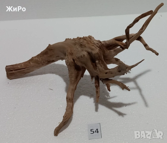 Корен от Азалия /декорация/ 54