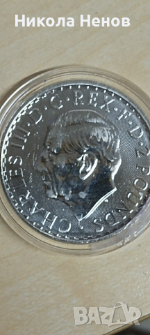 Сребърни монети  9999 1унция 31.1гр., снимка 3 - Нумизматика и бонистика - 44765037