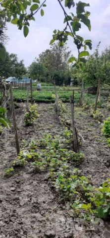 Продавам къща в кв. Бряг, снимка 9 - Къщи - 50384874