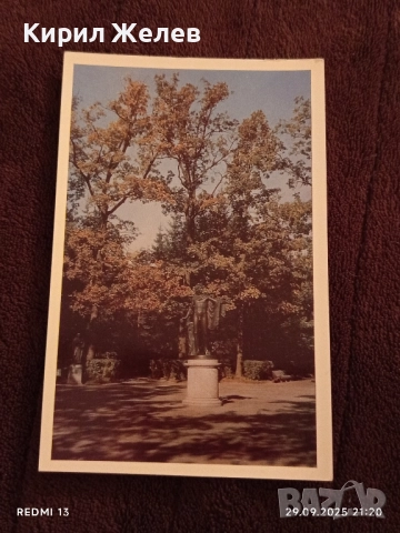 Ретро фотографии от ПАРКА ПАВЛОСК СССР за КОЛЕКЦИОНЕРИ 6402, снимка 5 - Колекции - 51883379