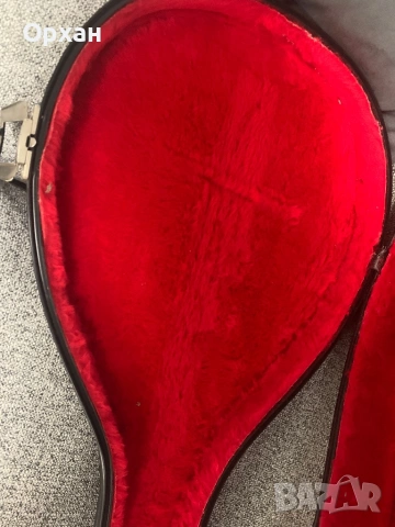 Професионално гръцко бузуки (тетрахордо) с адаптер TAP + Твърд куфар, снимка 18 - Друга електроника - 53916002