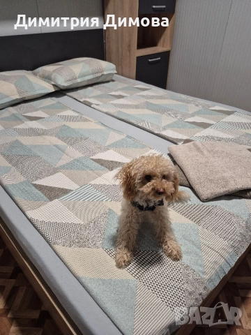 бунгало АКВАМИРА къмпинг Созопол Еко , снимка 7 - Квартири, нощувки - 52867267