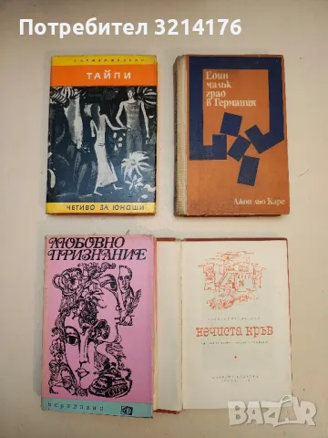 Загадъчната Отилия - Джордже Калинеску, снимка 4 - Художествена литература - 49824170