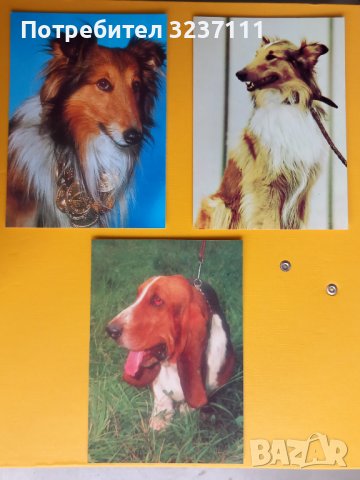 Кучета картички - лот 2, снимка 2 - Колекции - 39807360