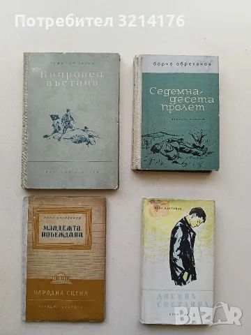 Дневна светлина - Иван Мартинов 
