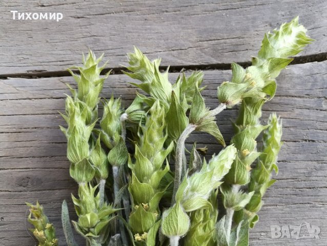 Домашен Мурсалски чай, снимка 3 - Други - 39761874