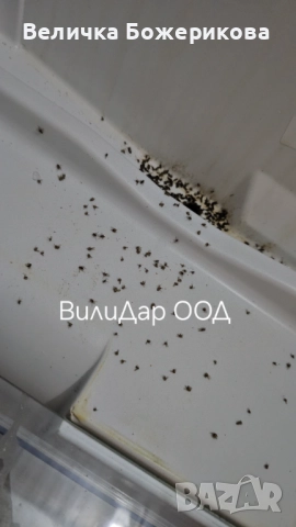 Почистване , снимка 16 - Почистване на домове - 52119218