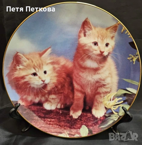 Чинии за стена , снимка 3 - Декорация за дома - 53059209