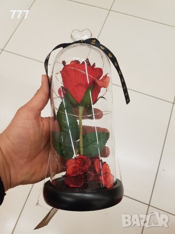 светеща роза